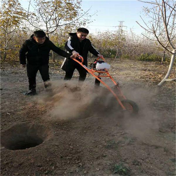 如何植樹及植樹挖坑機(jī)應(yīng)用